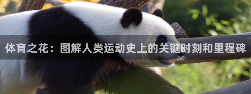 捷豹体育正规吗：体育之花：图解人类运动史上的关键时刻和里程碑