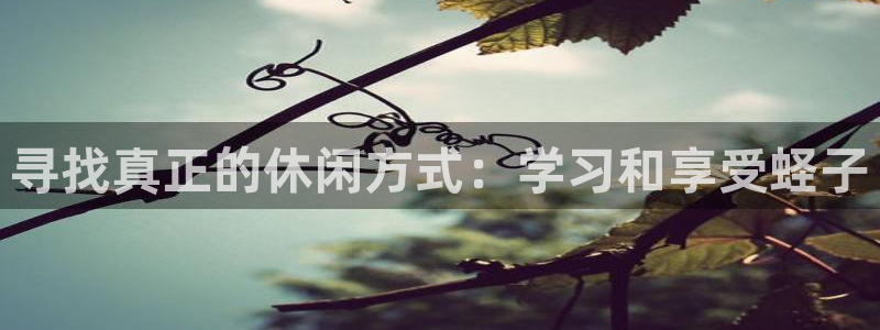 捷豹体育三项让球：寻找真正的休闲方式：学习和享受蛏子