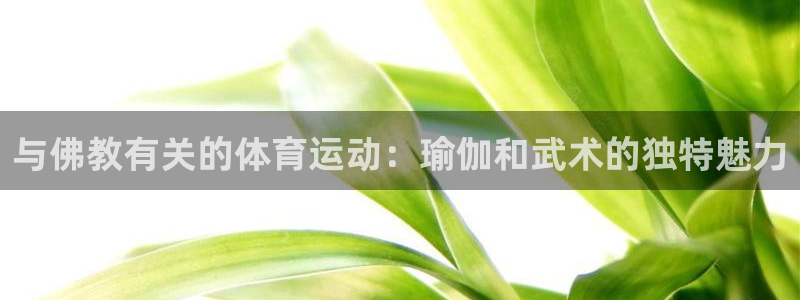 捷豹体育能赢钱么：与佛教有关的体育运动：瑜伽和武术的独特魅力