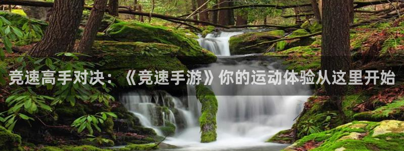 捷豹体育官网：竞速高手对决：《竞速手游》你的运动体验从这里开始